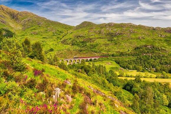 Jacobite Steam Train-3792